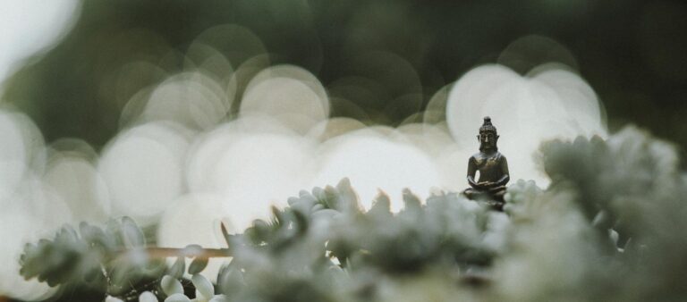 Meditation Retreat - Esalen Institute