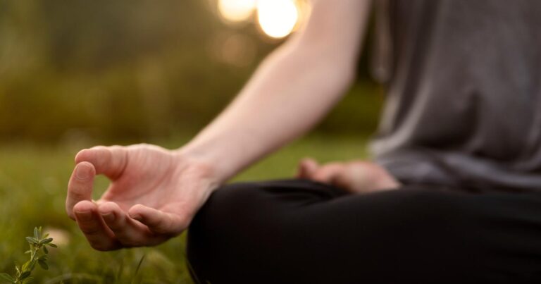 Meditation Retreat - Wat Suan Mokkh International Dharma Hermitage