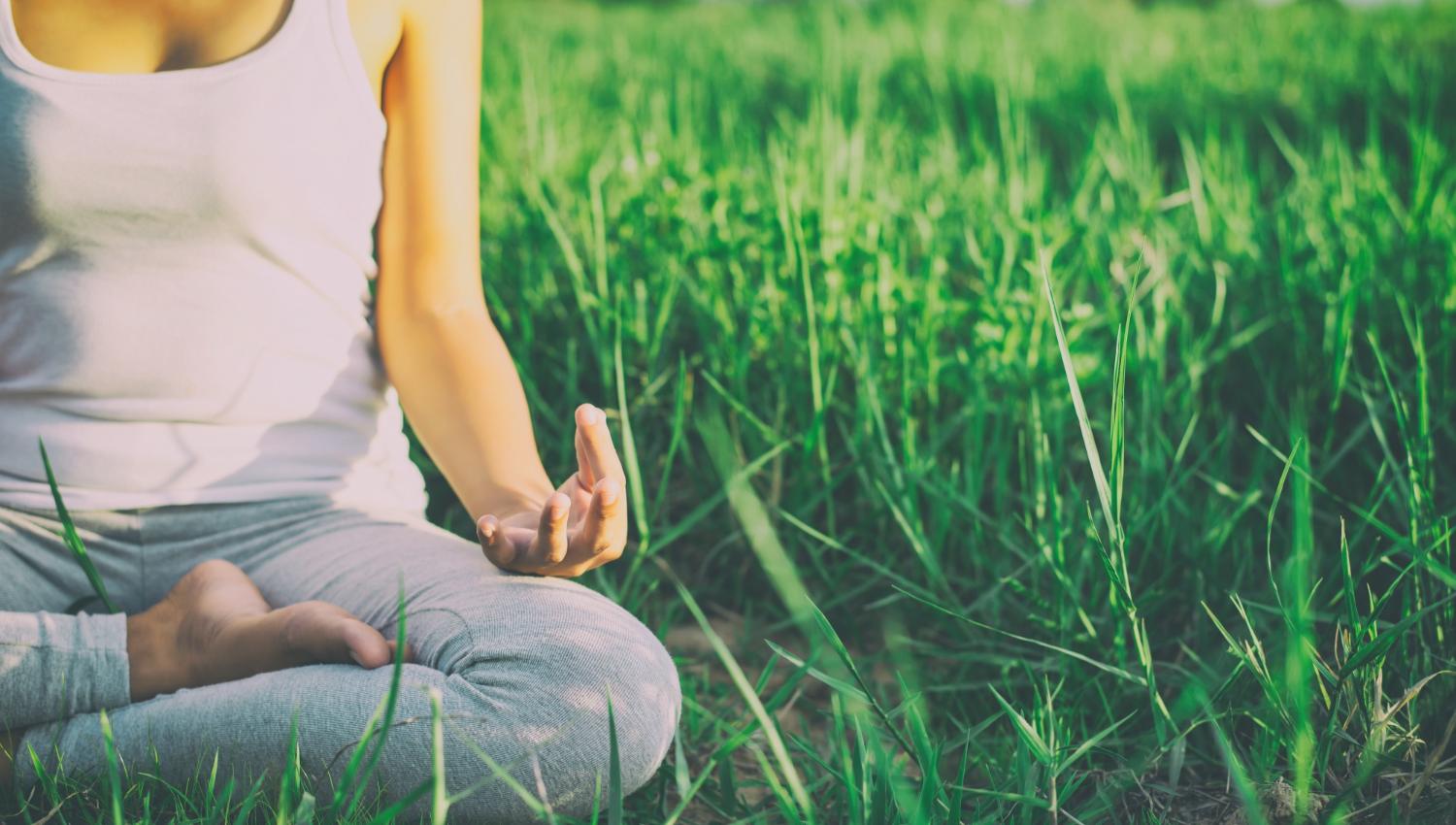 Meditation Retreat - The Hermitage