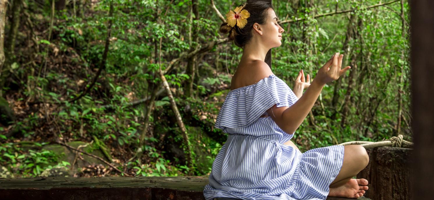 Chalet Mélèzes – Chamonix, France