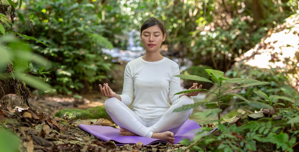 Meditation Retreat - Satchidananda Ashram