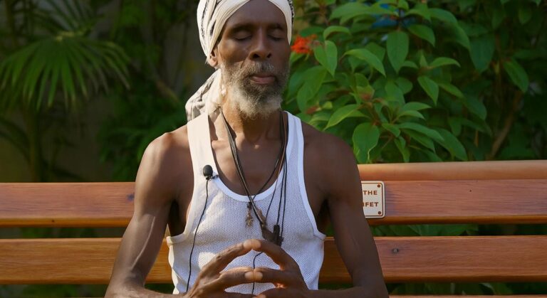 The Breatharian Journey: Living on Light Through Pranic Meditation