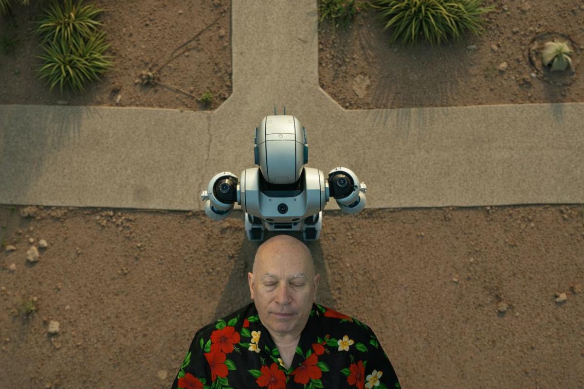 How Should Humanity Treat Artificial Intelligence? Insights from Bashar